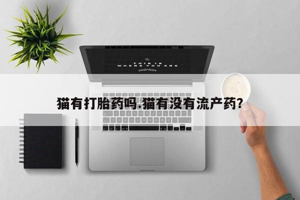 打胎药微信上哪里买猫有打胎药吗.猫有没有流产药？