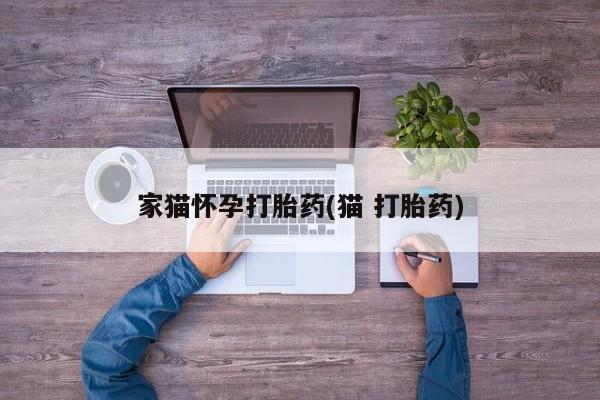 打胎药微信上哪里买家猫怀孕打胎药(猫 打胎药)